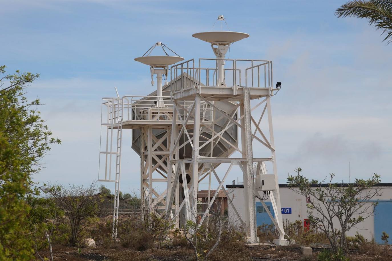 Alumnos de dos institutos reverdecen el campo de antenas del INTA