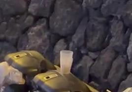 Roedores en las papeleras de la playa de El Jablillo.