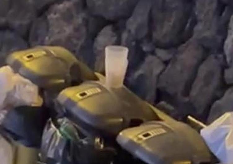 Roedores en las papeleras de la playa de El Jablillo.