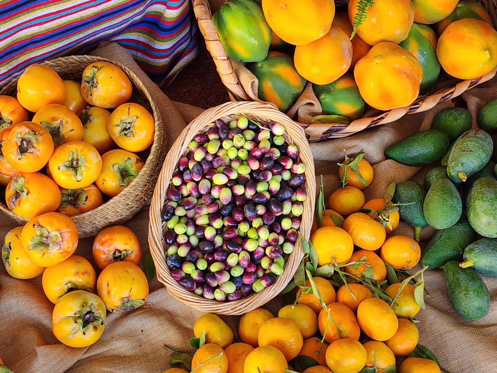 La Feria del Sureste celebra sus 20 años en Agüimes