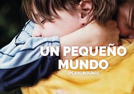 Promoción de la actividad.