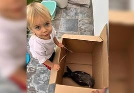 Carlota junto a la pardela que rescataron ella y un agente de la UMEC.