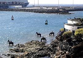 Esculturas de Jason deCaires Taylor, días antes de ser retiradas en noviembre de 2019.