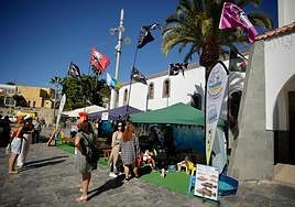 Imágenes de la Feria del Atún y el Mar del municipio sureño de Mogán