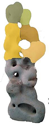 Los distintos colores muestran los distintos trozos en que quedó fragmentada.