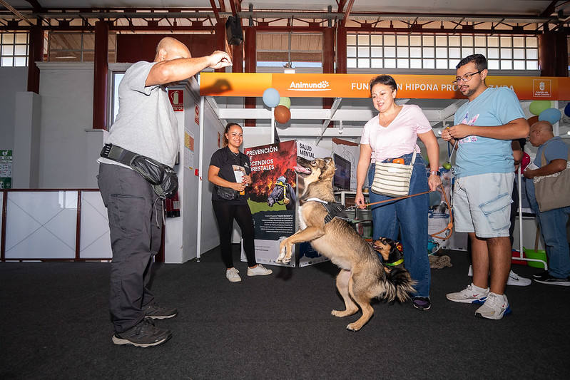 El primer día de Animundo, en imágenes