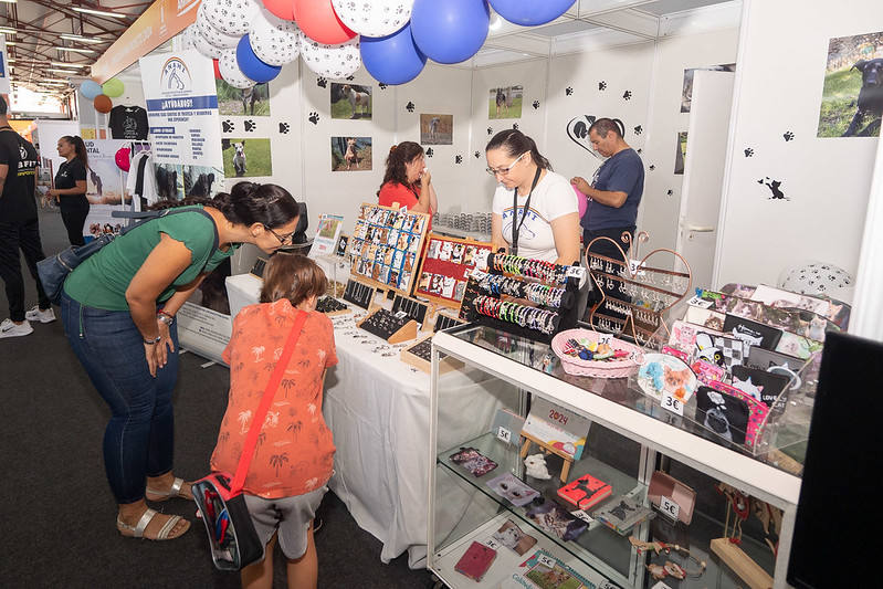 El primer día de Animundo, en imágenes