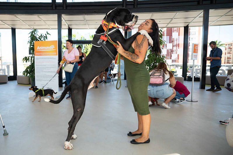 El primer día de Animundo, en imágenes