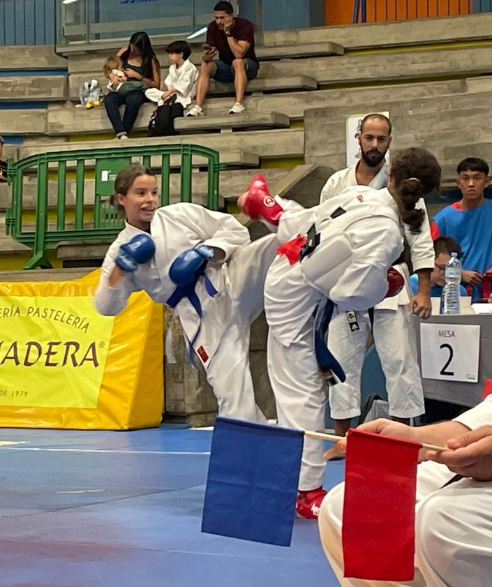 Imagen secundaria 2 - Segundo torneo navideño del Club Deportivo Seishin