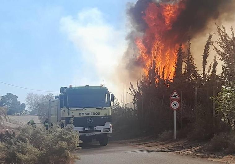 Un momento del incendio provocado este domingo en zona de pastos del hipódromo de Santa Lucía de Tirajana.
