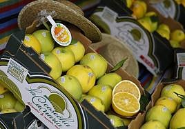 SPAR Gran Canaria renueva su compromiso con los citricultores de Telde