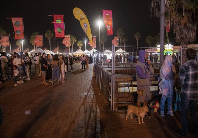 El Womad se estrenó en la plaza de la Música y el parque Litoral El Rincón este año.