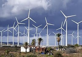 Imagen de un parque de molinos eólicos en el sur de Gran Canaria.