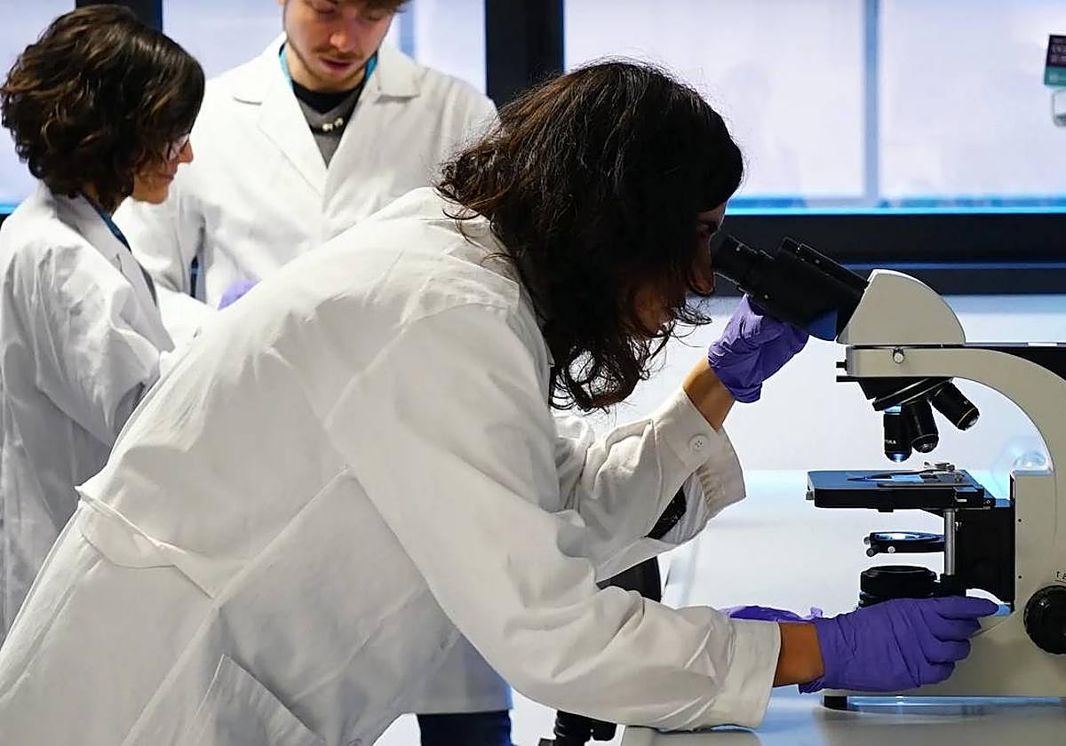 Canarias, a la cola de España en inversión de I+D según el INE.