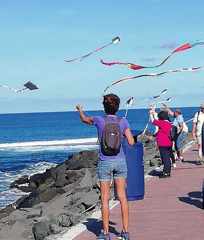 Imagen secundaria 2 - Cometas en solidaridad con Palestina