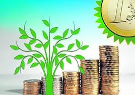 Tasa verde, estafa madura