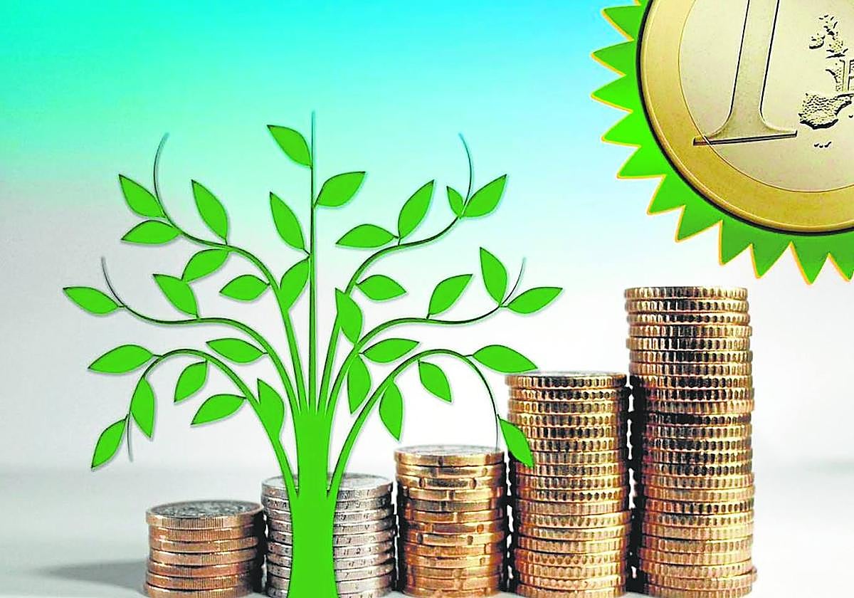 Tasa verde, estafa madura