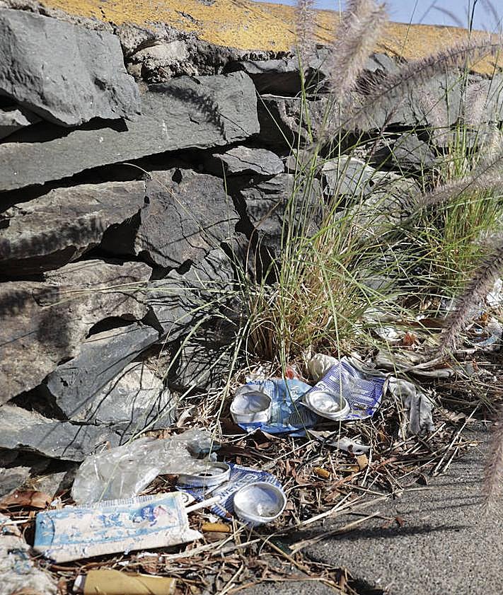 Imagen secundaria 2 - Estado en el que se encuentra la ladera y el camino que accede a Mata.