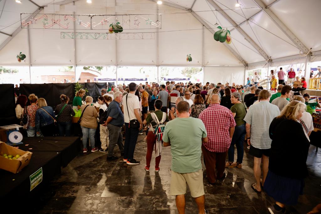 La feria del aguacate de Mogán, en imágenes