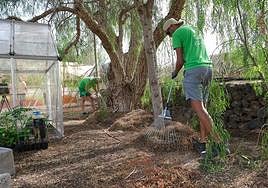 Dos alumnos-trabajadores de un PFAE de jardinería.