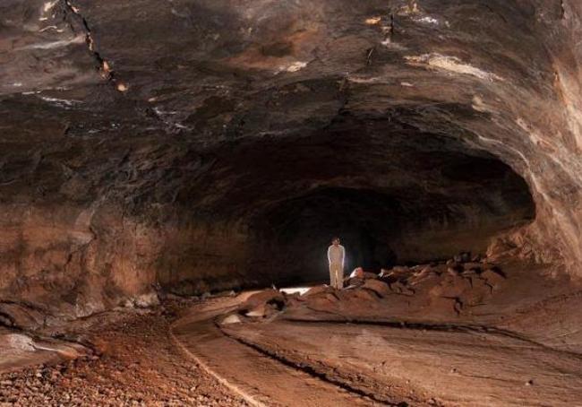 Cueva del Llano por dentro, hogar de tres especies de elevada fragilidad.