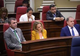 Imagen de archivo de una sesión plenaria. En el centro, la diputada del PP Luz Reverón.