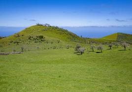 Imagen de archivo de Juncalillo, en Gáldar, y Monte Pavón, en Guía.