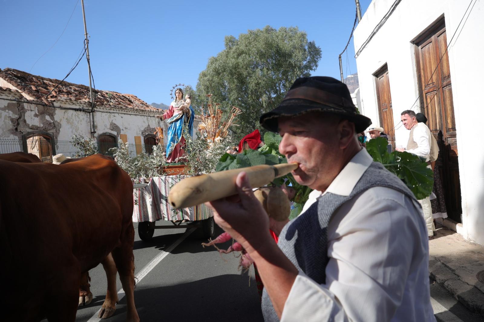 Los labradores toman Santa Lucía