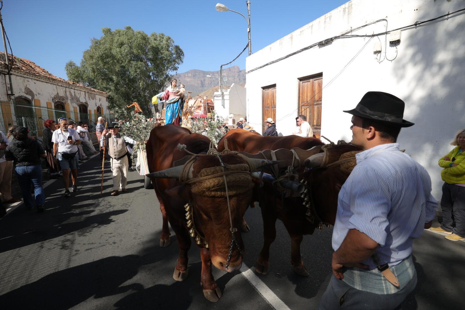 Los labradores toman Santa Lucía
