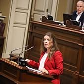 Imagen - La diputada apuntó que «otra forma de entender Canarias ha comenzado» tras la «ineficacia» del Pacto de las Flores
