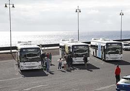 Guaguas híbridas estrenadas esta semana.