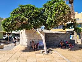 Gente en busca de sombra para refugiarse del sol.