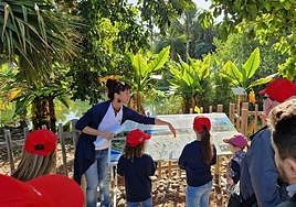 Comienzan las visitas en familia al Palmetum, de la mano de Fundación Cepsa y el Ayuntamiento de Santa Cruz
