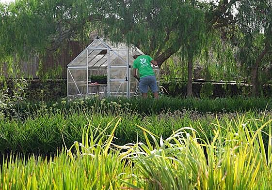 Alumno de un PFAE de jardinería, en foto de archivo.