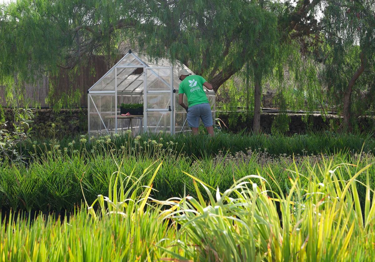 Alumno de un PFAE de jardinería, en foto de archivo.