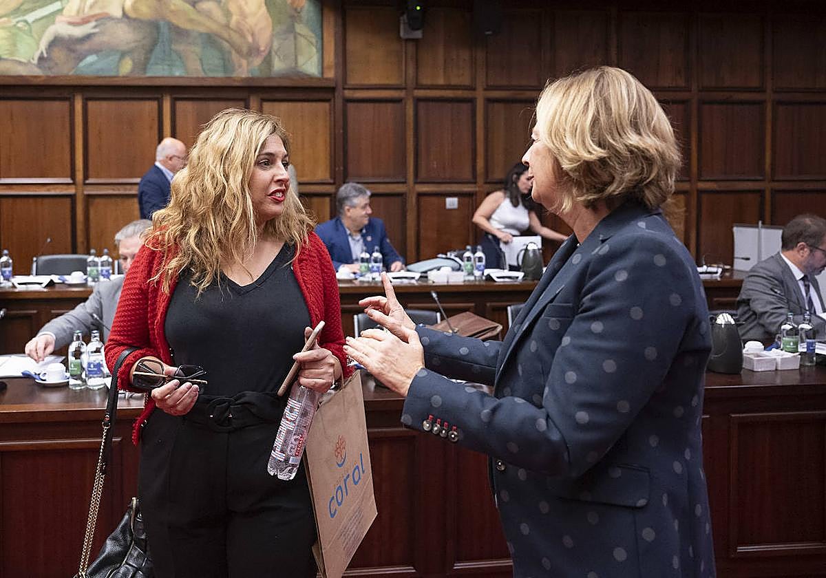 Isabel Mena, consejera de Política Social (izquierda), charla con la consejera del PP Pepa Luzardo.