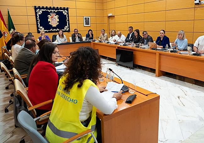 Cris Delgado, con chaleco amarillo y de la plataforma ciudadana ¿Tienes agua en Fuerteventura?, interviene en el pleno ordinario, en el apartado de participación ciudadana.