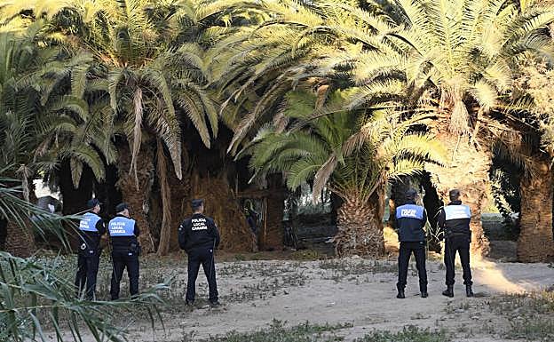 San Bartolomé retoma el desalojo del palmeral del Oasis