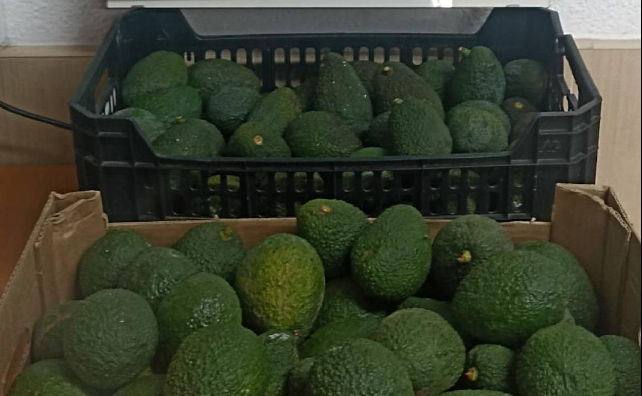 Imagen de los aguacates incautados. 