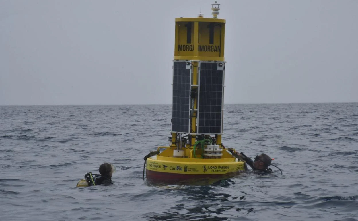 Imagen de la boya utilizada en Gando, en Gran Canaria, para monitorear el CO2 del océano. 