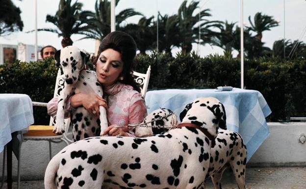 Gina Lollobrigida en el hotel Carlton de Cannes en 1972 con sus cuatro perros dálmata.