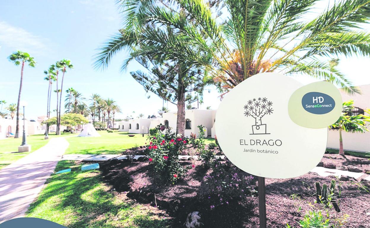 Jardín endémico en HD Parque Cristóbal Canaria. 