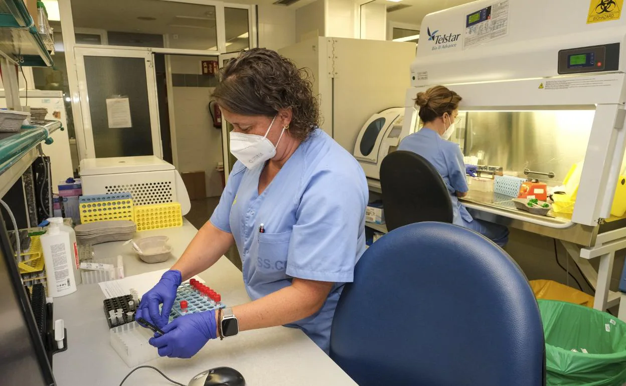 Personal en el laboratorio de Microbiología del Doctor Negrín preparando muestras de Sars-Cov-2. 
