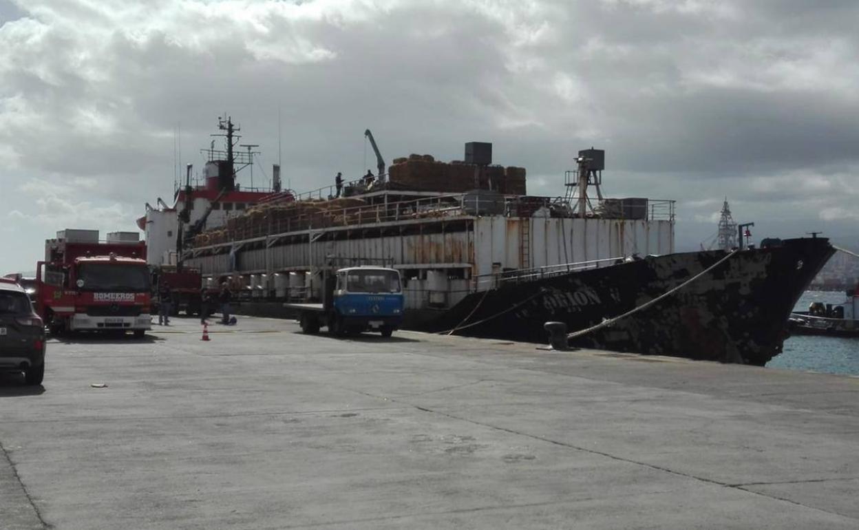 Imagen del buque de ganado donde se transportaba el alijo de droga. 