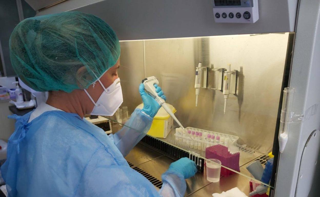 Una sanitaria del Hospital Universitario de Canarias (HUC) de Tenerife manipula una muestra para una PCR. 