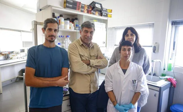 El catedrático Antonio Fernández (centro) junto a oarte del equipo científico del IUSA. 