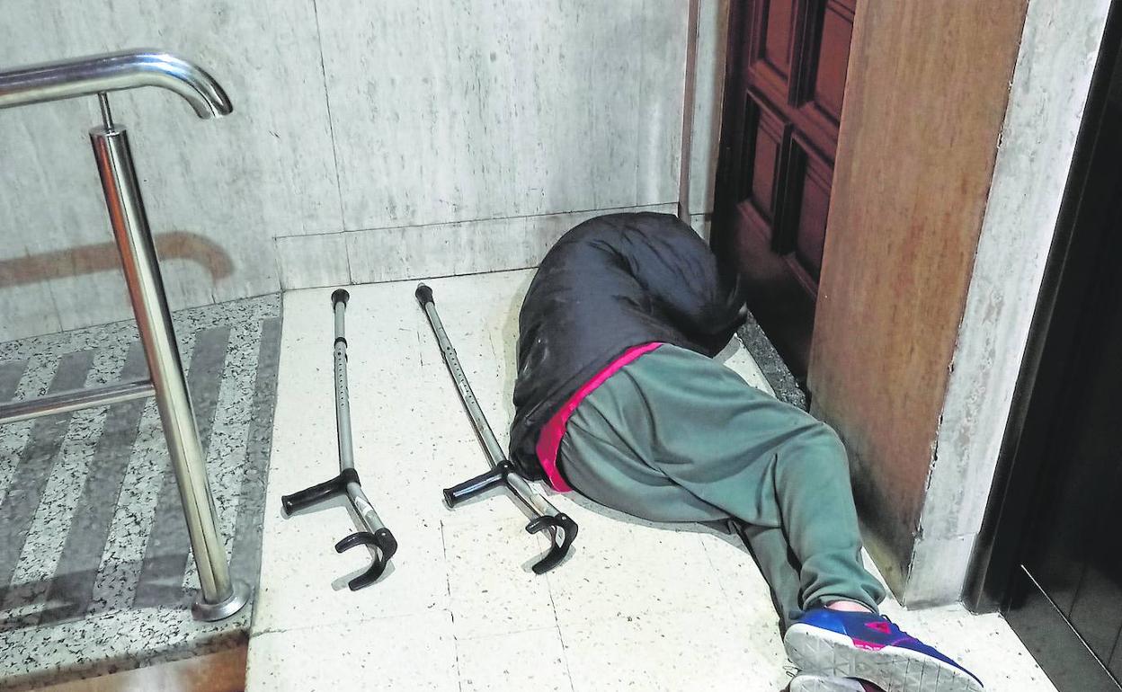 Sí, en efecto: también es ser sintiente