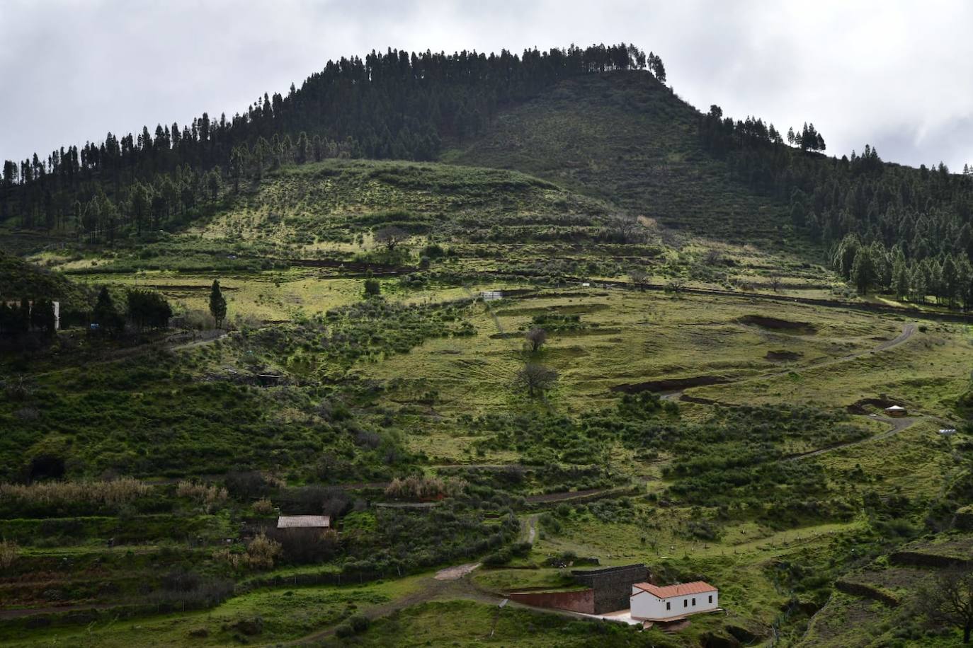 El frío conquista la cumbre de Gran Canaria