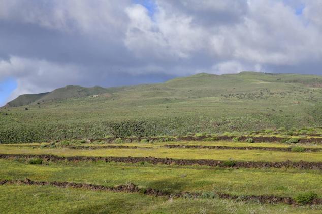 El frío conquista la cumbre de Gran Canaria