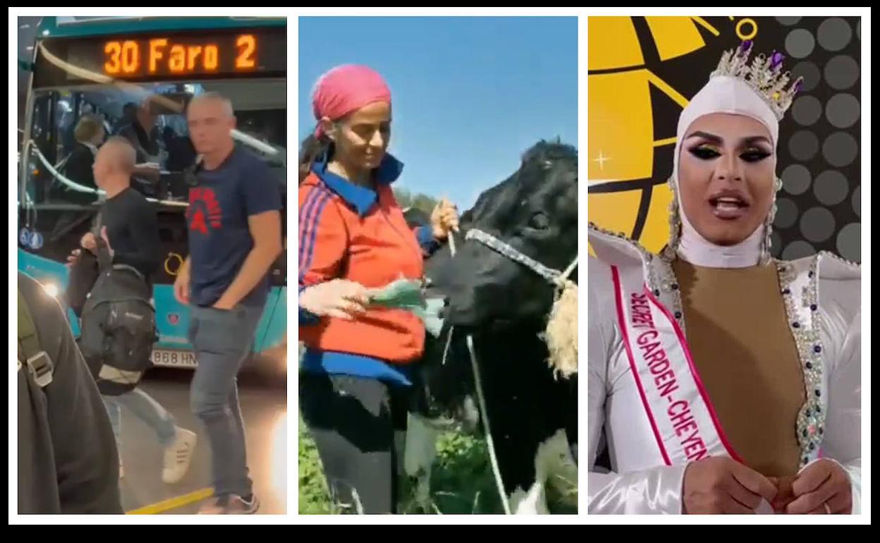 Los vídeos más destacados de este miércoles 8 de febrero